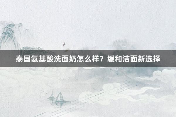 泰国氨基酸洗面奶怎么样？缓和洁面新选择