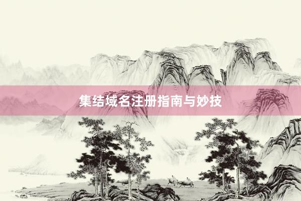 集结域名注册指南与妙技
